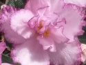 7486b1560309be41-2.jpg