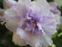 42b2e2bb046d6fd0-2.jpg