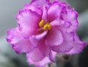 f82ab902c09645e6-2.jpg