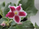 3f68744694edd067-2.jpg