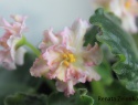 e60497dcf16ac8c7-2.jpg