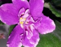 7989c8685825092e-2.jpg