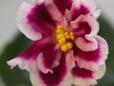 0c52d32602bf5304-2.jpg