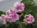 3db1d20f20e83cb5-2.jpg