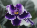 IMG_5568.JPG