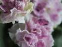 363c8a13fe1ad8ba-2.jpg