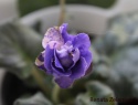 428bd9c10b8910d9-2.jpg