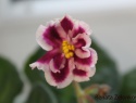 6f78695b6dfb1c13-2.jpg