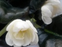 ab8e3f70528e7174-2.jpg