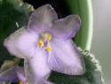 68dfa6516525322c-2.jpg