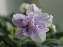 57d51ffb627b8db0-2.jpg