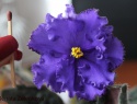 91b9b906ae08b081-2.jpg