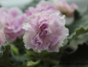 15bcf0841b36eb2a-2.jpg