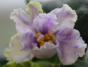 40e6d074bc570143-2.jpg
