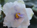 340c8e81798f3ad5-2.jpg
