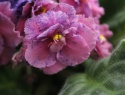 IMG_5400.JPG