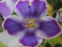IMG_8460.JPG
