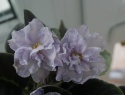 IMG_6012.JPG