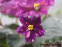 f0547cc1bd5be0d6-2.jpg
