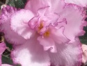 d27747ee8ebc38a5-2.jpg