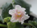 1c6dc986acc05752-2.jpg