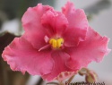 c82026ee254993b1-2.jpg