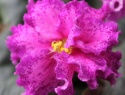 IMG_8468.JPG